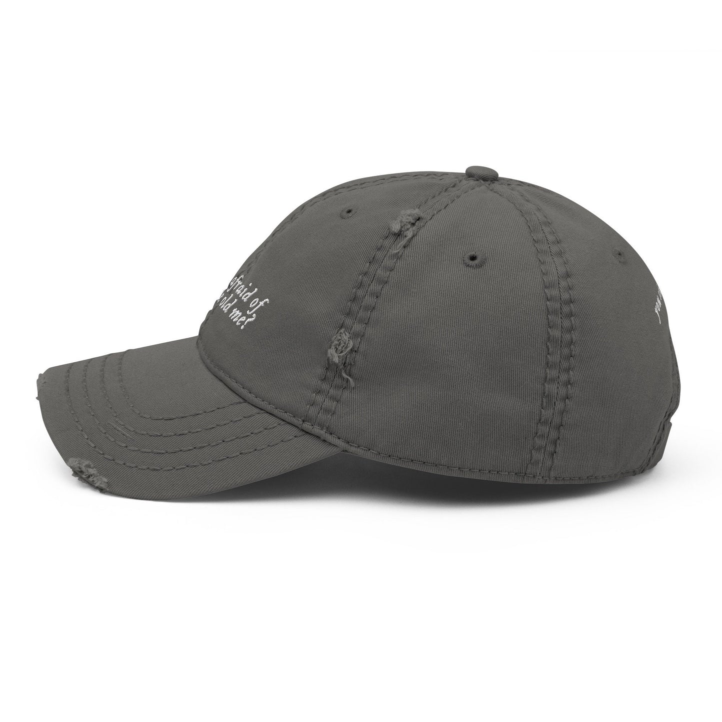 Who's Afraid of Little Old Me Embroidered Distressed Dad Hat | TTPD Merch | Tortured Poets Hat | Taylor Era Tour Outfit | You Should be