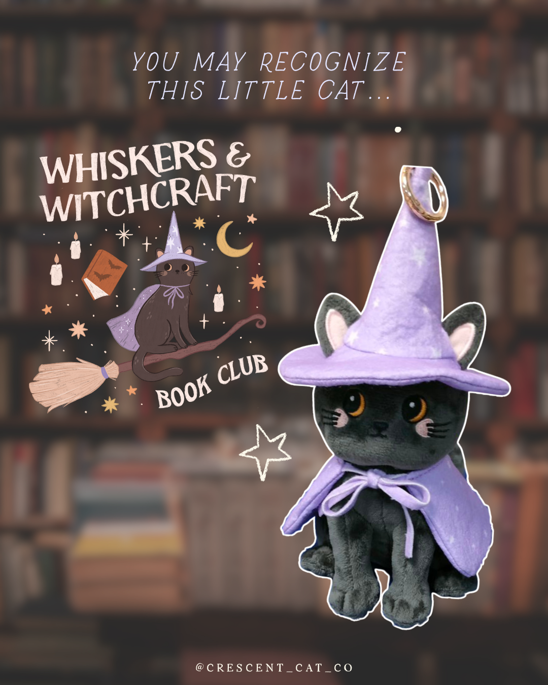 PRE ORDER : Crescent Cat Familiar Bag Charm