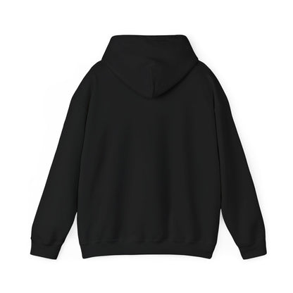 Willow Cats Hoodie