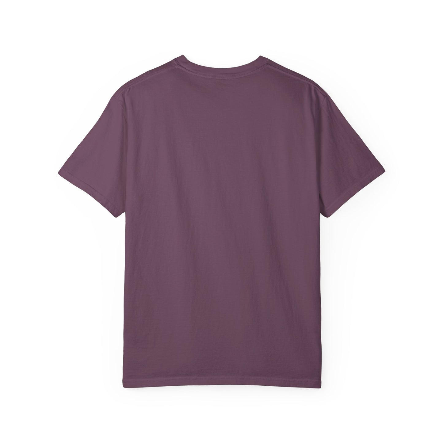 Copy of Dazzling TTPD t shirt | TS Fan Gifts | tortured poets shirt | Era tour outfit | Show Girl Outfit