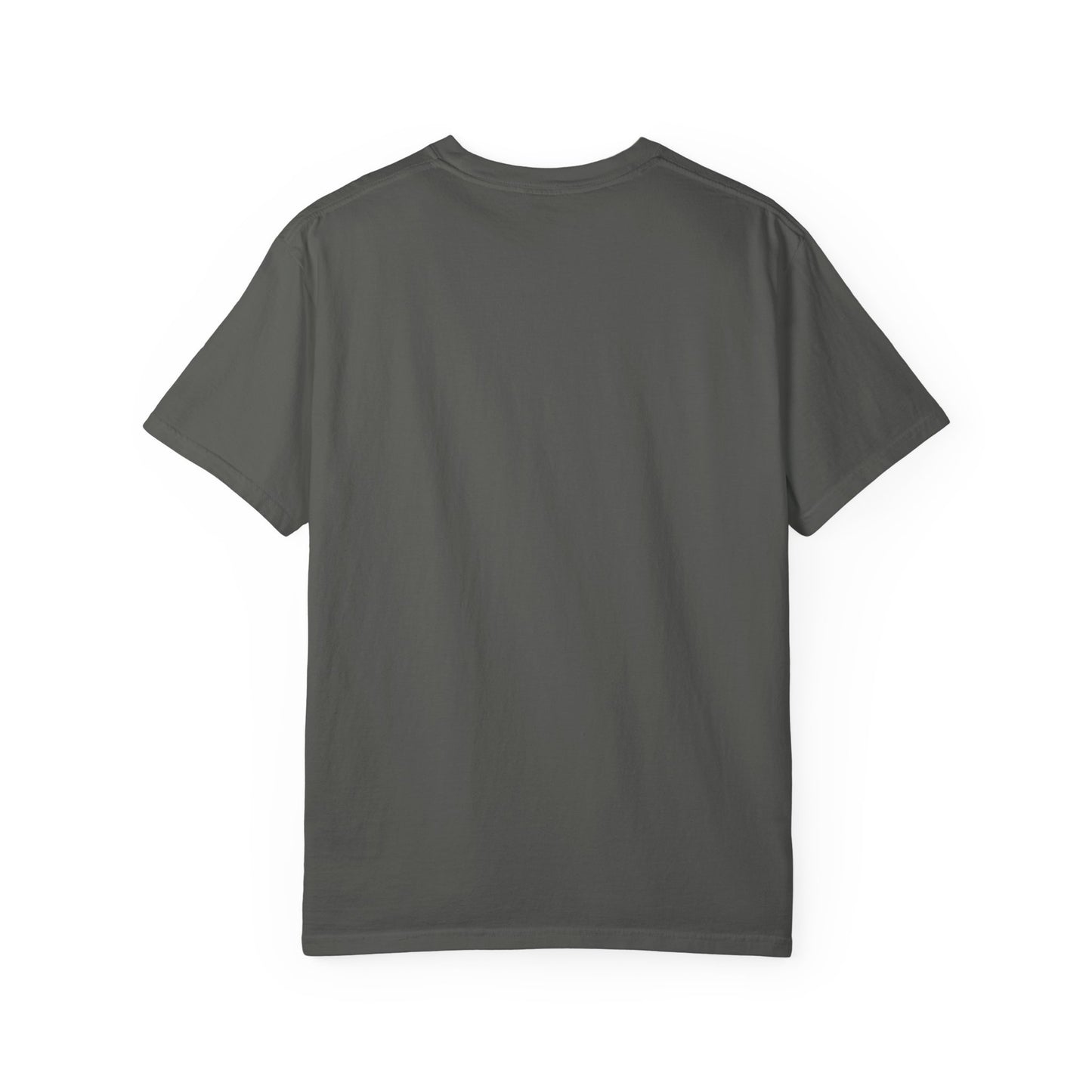 Copy of Dazzling TTPD t shirt | TS Fan Gifts | tortured poets shirt | Era tour outfit | Show Girl Outfit