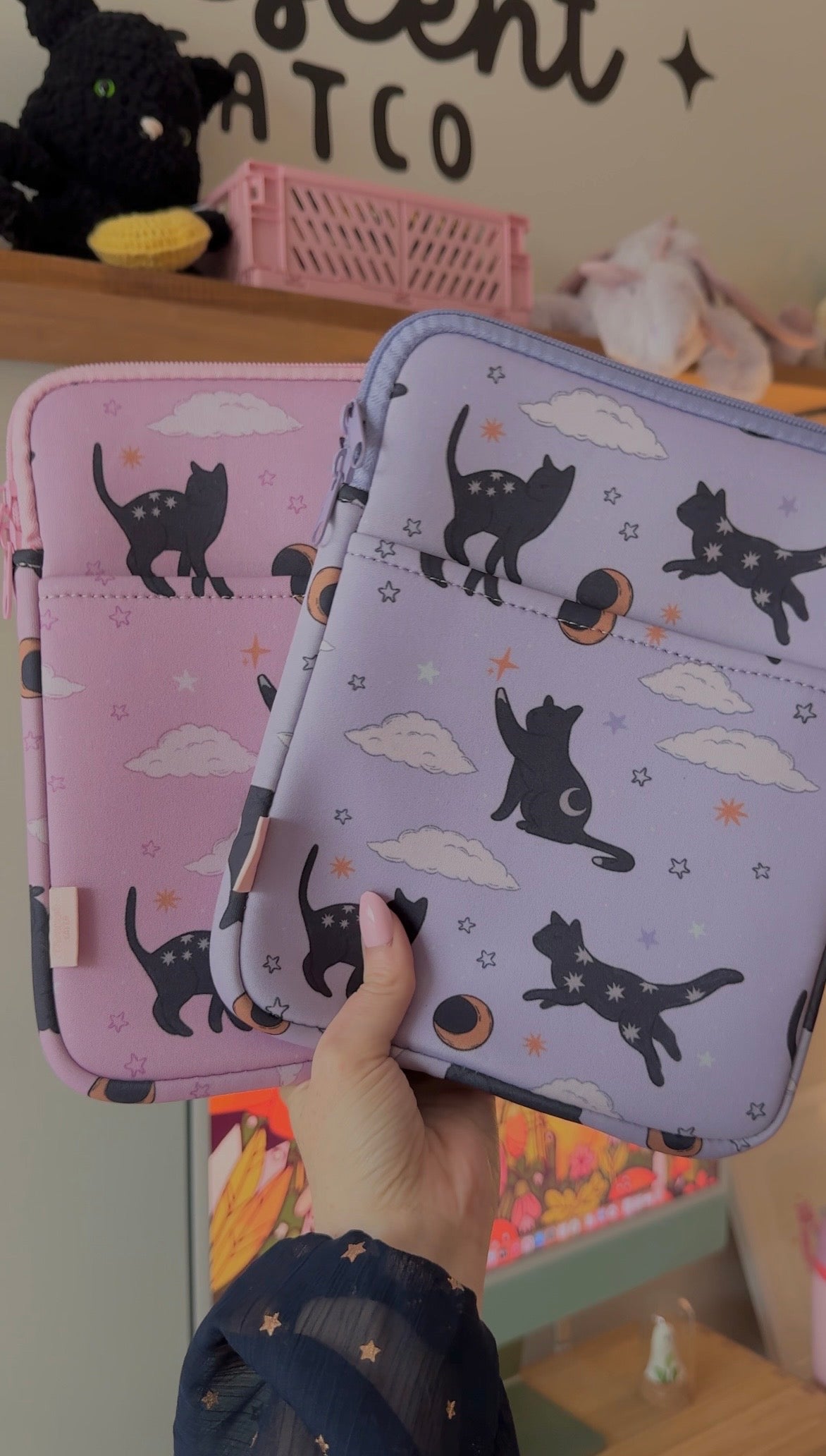 Lunars Cat Book & Kindle Pouch, Medium E-Reader Zip up Book Sleeve
