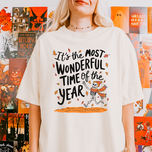 The Most Wonderful Time of the Year Fall Lover T-shirt