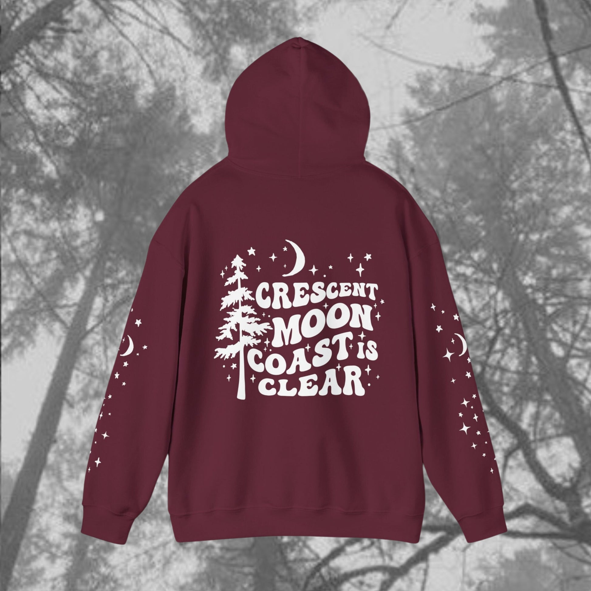 Crescent Moon Coast is clear Hoodie | Evermore Ivy Sweatshirt | Front Back and Sleeve Design | Evermore Era Merch | Taylor Fan Gifts